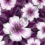 Colour:B