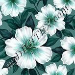 Colour:C