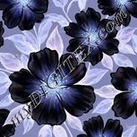 Colour:F
