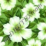 Colour:K