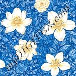 Colour:A