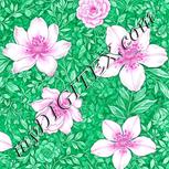 Colour:B