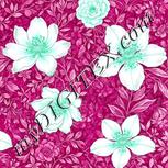 Colour:C