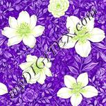Colour:D