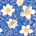 Colour:J