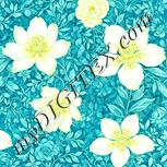 Colour:K