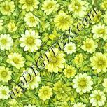 Colour:K