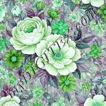 Colour:C