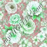 Colour:C
