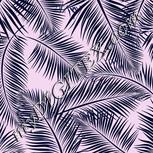Colour:F
