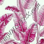 Colour:C