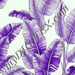Colour:D