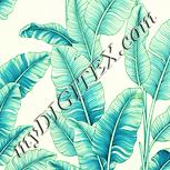 Colour:K