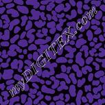 Colour:F