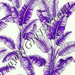 Colour:D