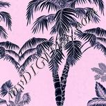 Colour:F