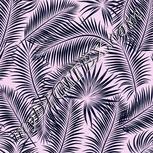 Colour:F