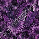 Colour:B