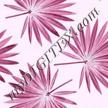 Colour:B