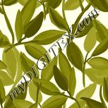 Colour:A