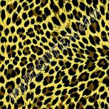 Colour:K