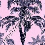 Colour:F