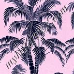 Colour:F