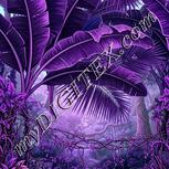 Colour:B