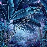 Colour:C