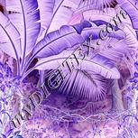 Colour:F