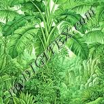 Colour:K
