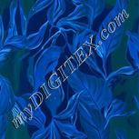 Colour:F