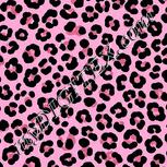 Colour:B