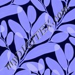 Colour:F