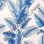 Colour:A