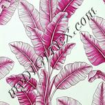 Colour:C