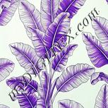 Colour:D
