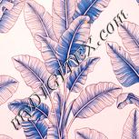 Colour:J