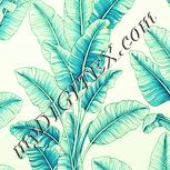 Colour:K