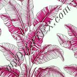 Colour:C