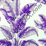 Colour:D
