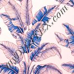 Colour:J