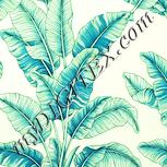 Colour:K