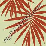 Colour:J