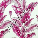 Colour:C
