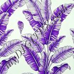 Colour:D