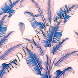Colour:J
