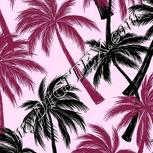 Colour:B