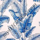 Colour:A