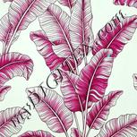 Colour:C
